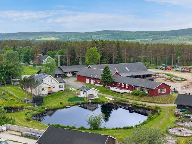 Bilde fra arrangøren for Åpen gård
